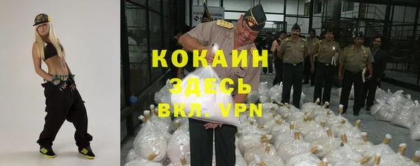 ГАЛЛЮЦИНОГЕННЫЕ ГРИБЫ Абаза