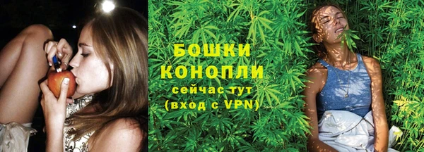 ГАЛЛЮЦИНОГЕННЫЕ ГРИБЫ Абаза