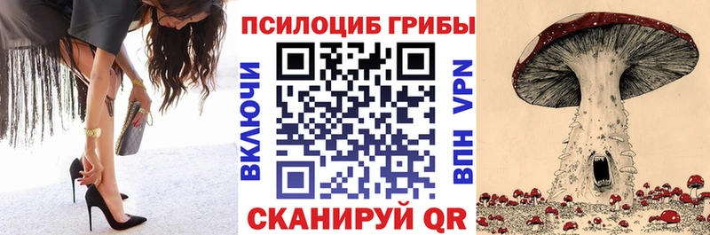 продажа наркотиков  Ржев  Псилоцибиновые грибы мухоморы 