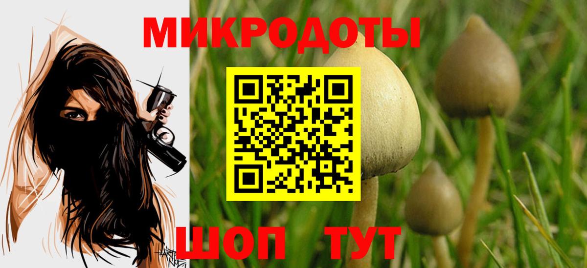 Галлюциногенные грибы MAGIC MUSHROOMS Ржев